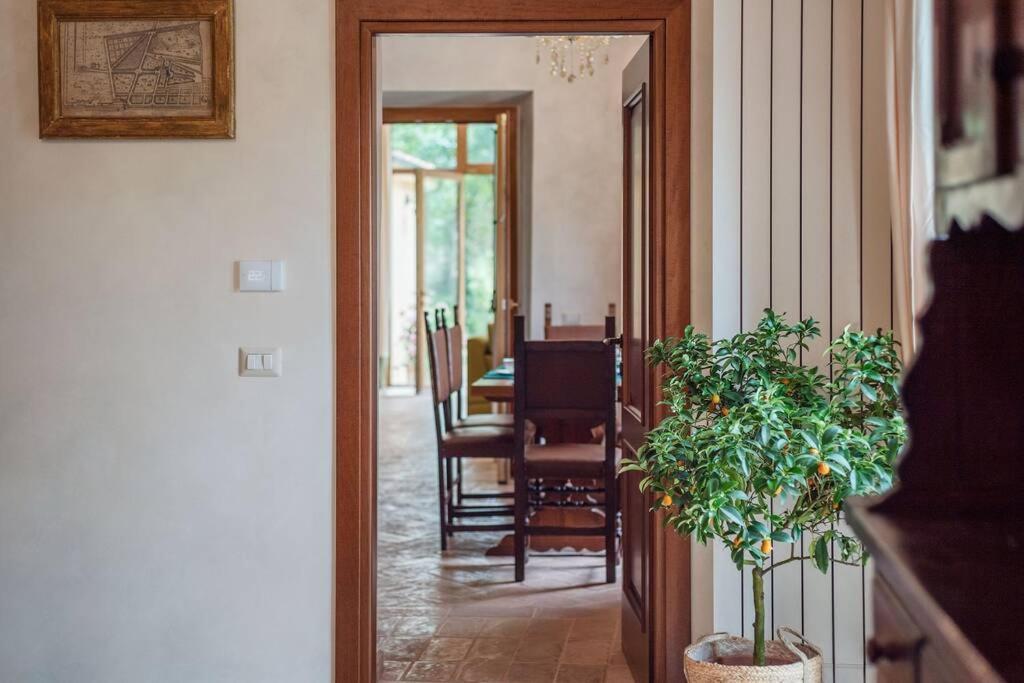 Villa Gina Umbria Luxury Retreat 圣安那托利亚迪纳 外观 照片